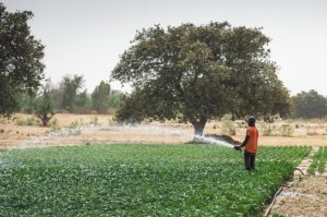 Wilo: Insieme per una maggiore protezione del clima