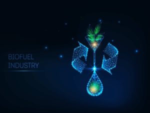 Sulzer unterstützt Shell bei production von jährlich 82 ' 000 Tonnen Biokraftstoffen位于鹿特丹neuer Anlage