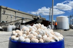 苏尔泽和蓝色星球是永恒的