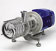 Premium-Pumpen aus Bodenheim