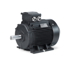 IE2-Motoren von Hoyer Motors erhalten die behördliche Zulassung