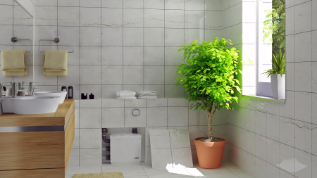 Elegante Kleinhebeanlage(优雅的女人