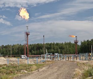 High Temperature Bearings for Oil Field Flares