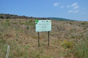 IFAT欧亚4000棵树用于气候保护