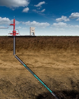 井下螺杆泵与Netzsch潜水驱动防止井喷