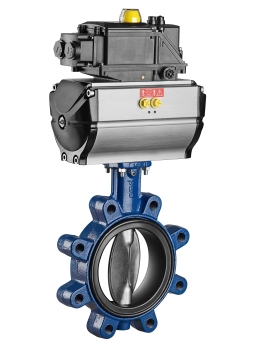 Butterfly Valves for Food Applications