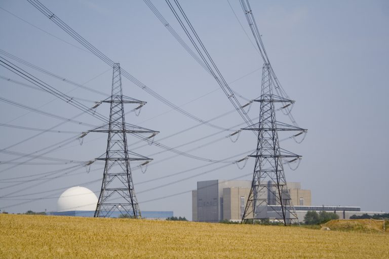 Amarinth为法国电力公司提供可互换的立式泵，用于Sizewell B电站