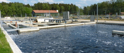养鱼场达到最佳的水条件与Flygt泵
