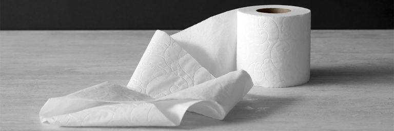 Welttoilettentag: Das Recht auf Sanitärversorgung soll in EU-Gesetz verankert werden