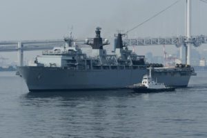 Amarinth直接向Babcock供应可互换泵，用于HMS Albion的改装