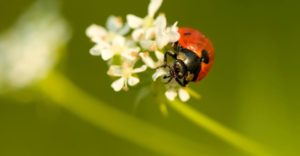 把我们的水水袋给免费