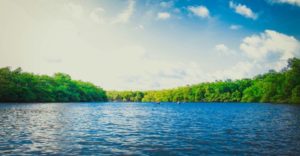 EQS:需要全面禁止PFAS以达到环境阈值