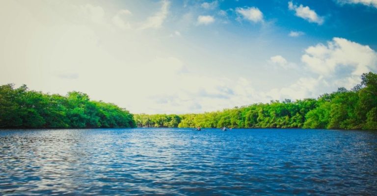 EQS:需要全面禁止PFAS以达到环境阈值